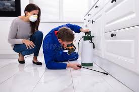 Best Pest Exclusion Services  in Plumsteadville, PA